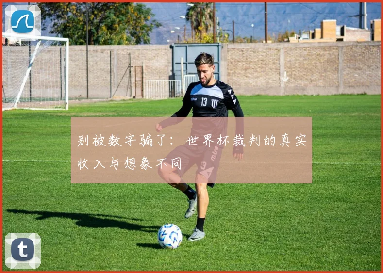 别被数字骗了：世界杯裁判的真实收入与想象不同