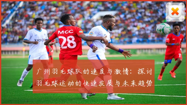 广州羽毛球队的速度与激情：探讨羽毛球运动的快速发展与未来趋势